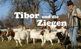 Website tiborunddieziegen.de 